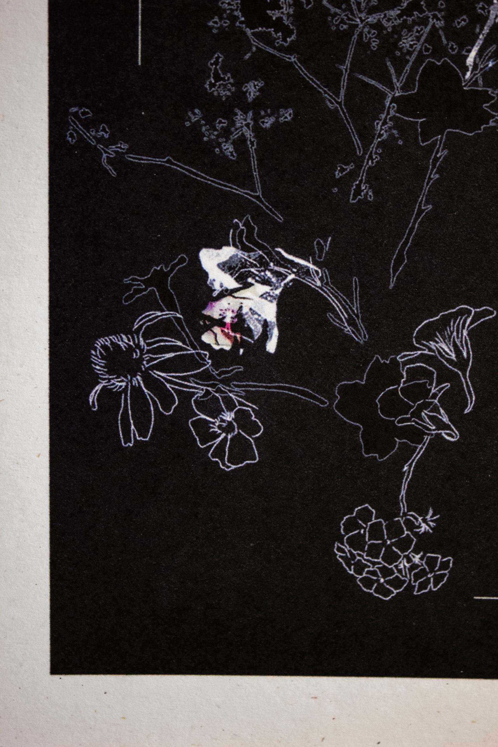 Black bouquet – Bild 3