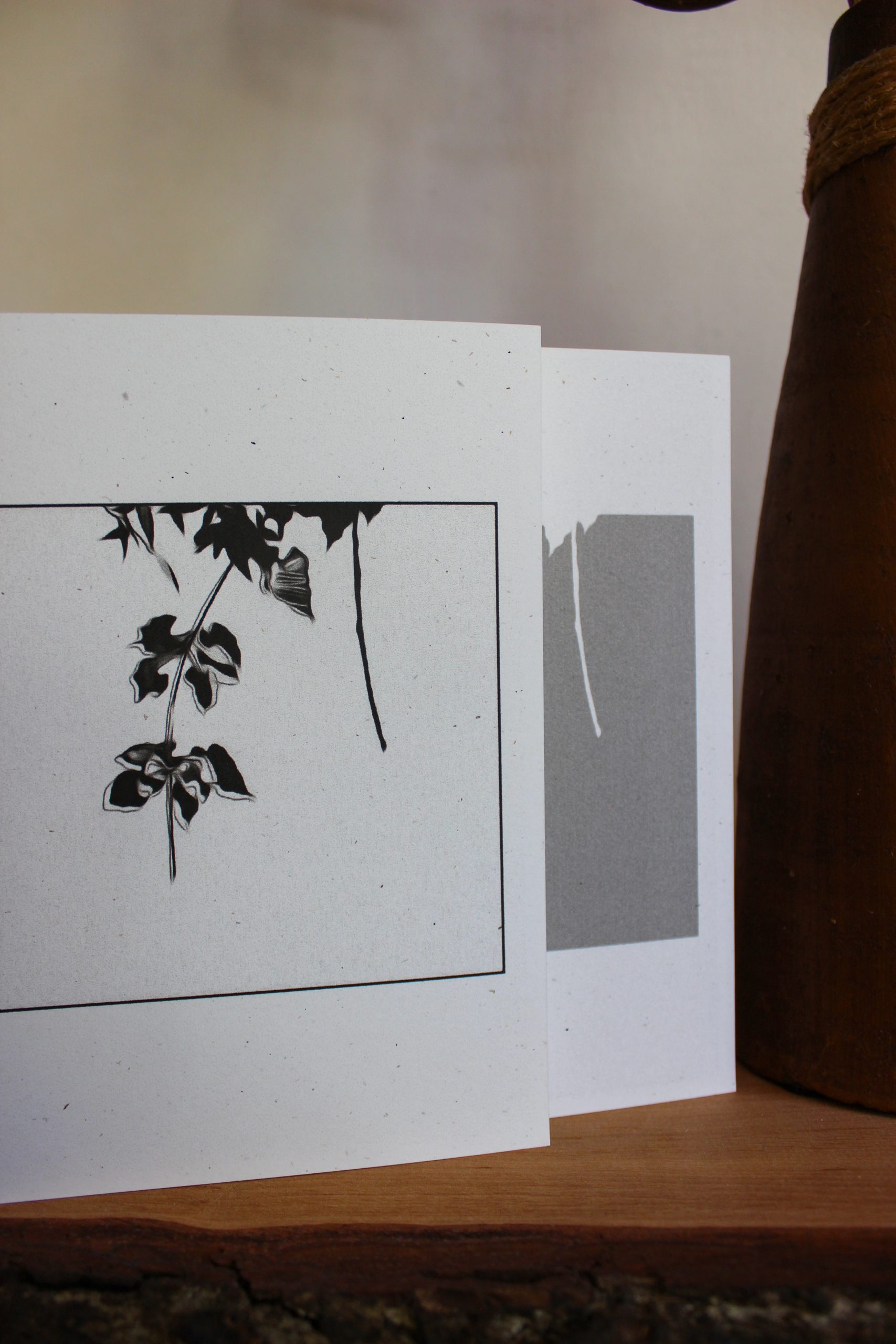 Linden Breeze Grau – Bild 3