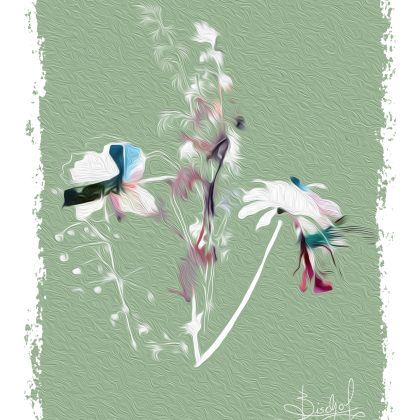 Prints