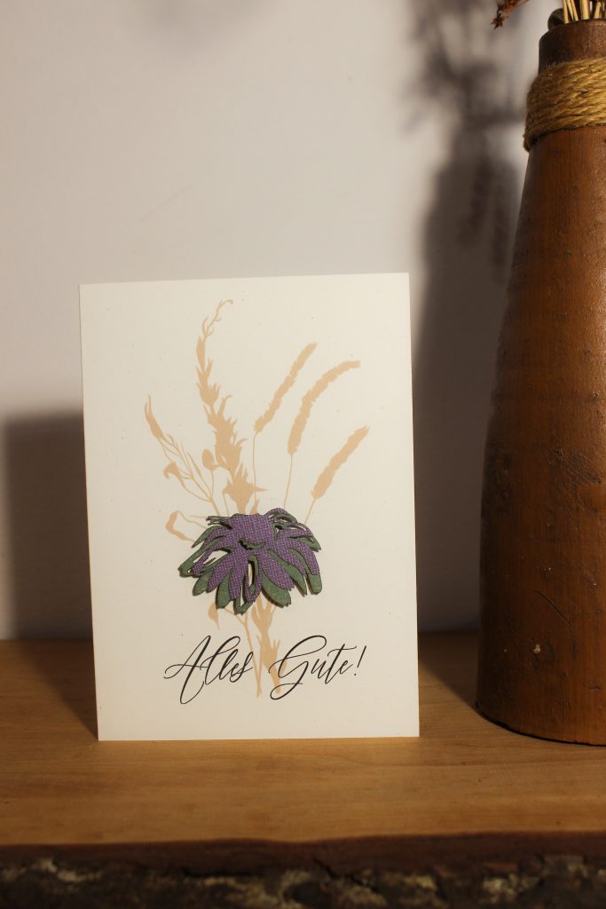 Asteraceae
