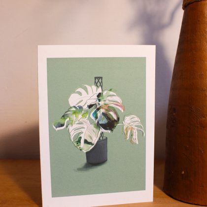Monstera Deliciosa