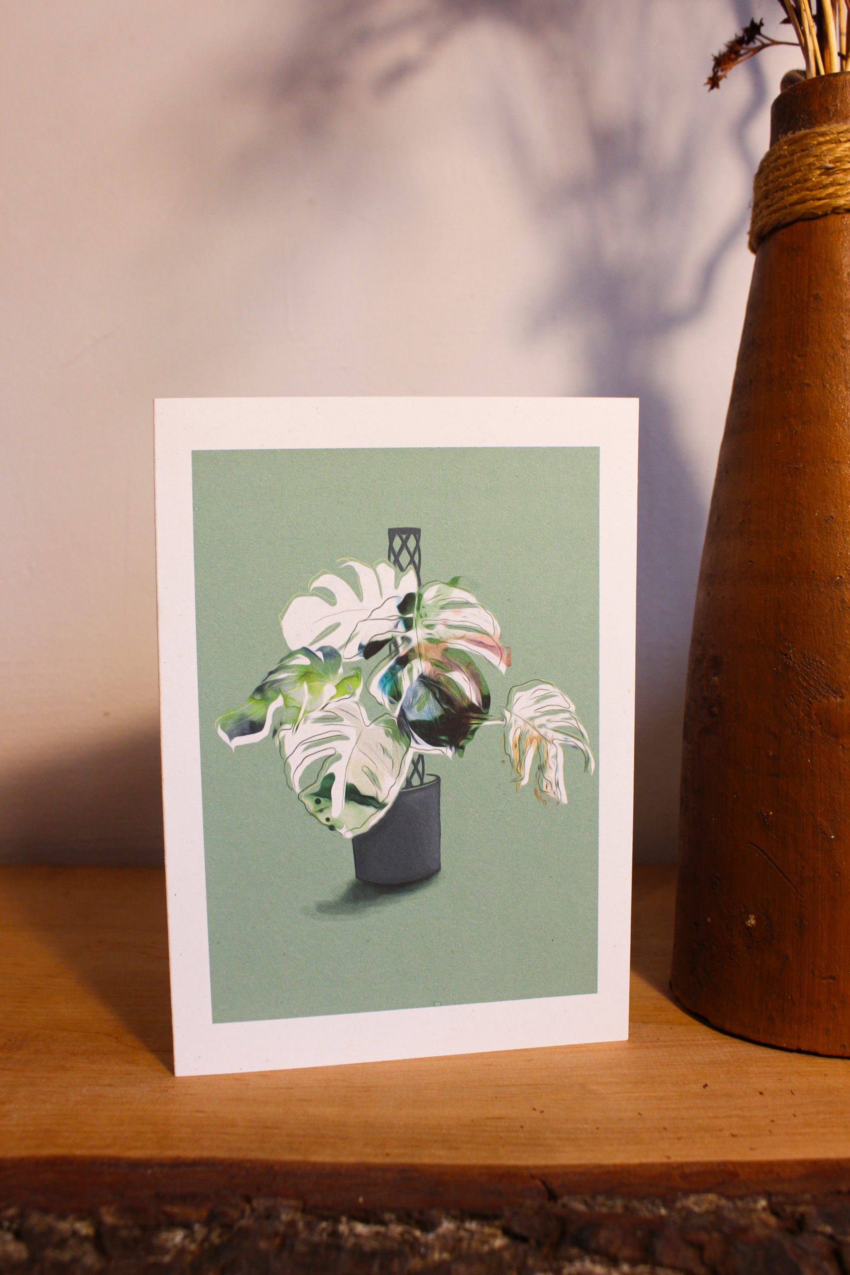 Monstera Deliciosa