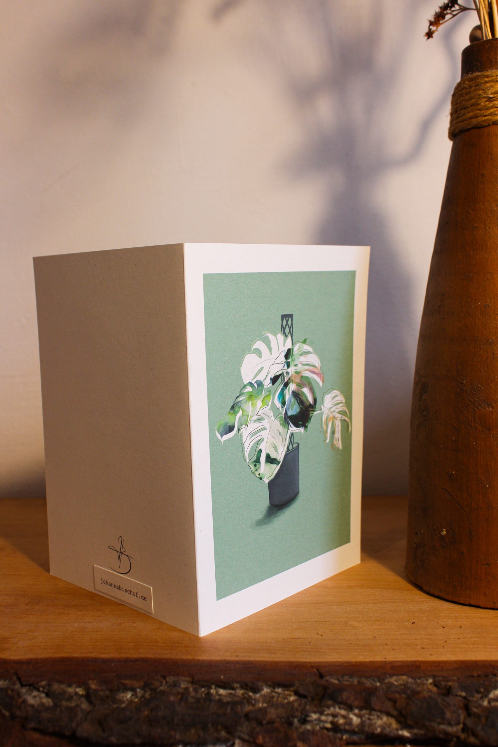 Monstera Deliciosa – Bild 2