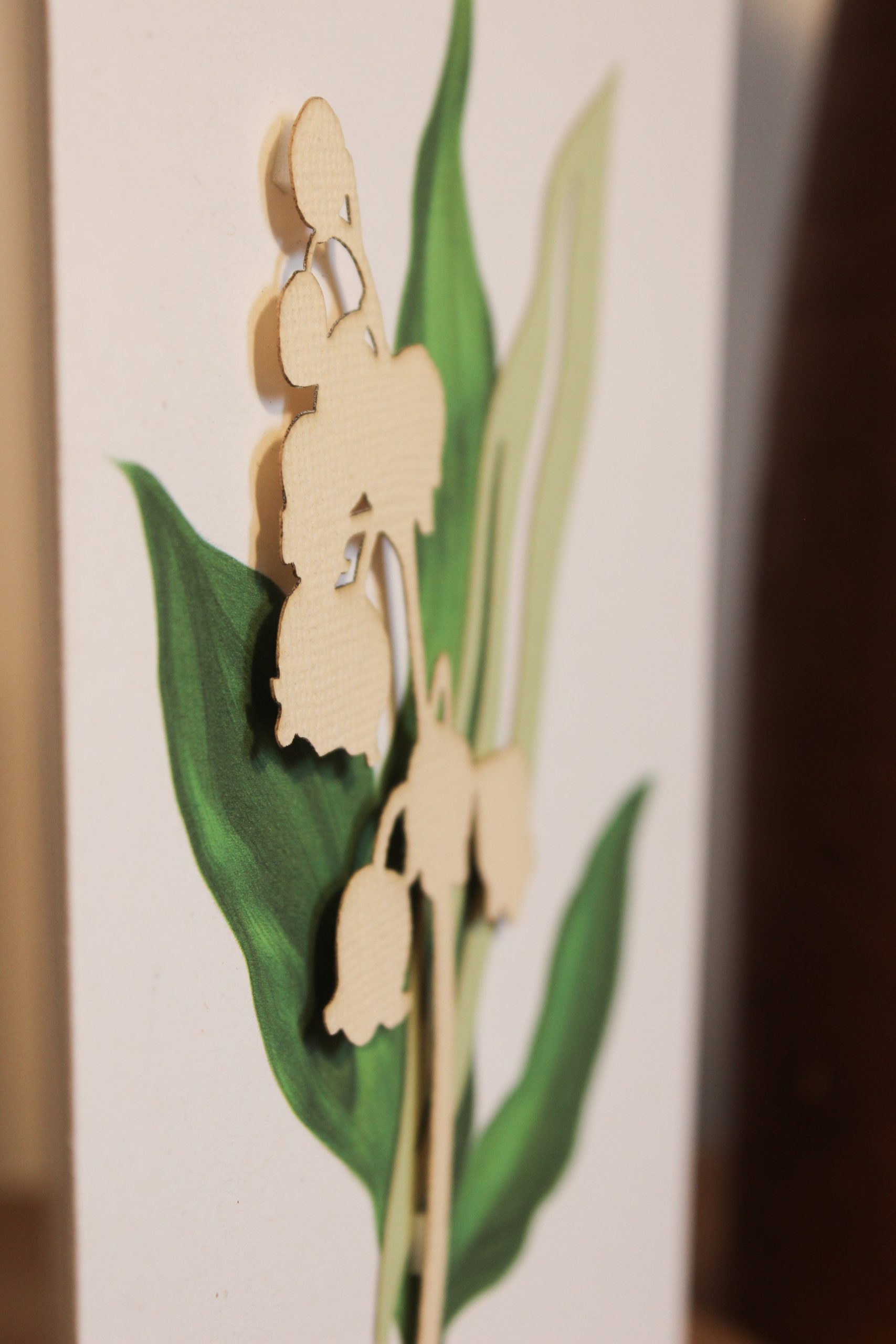 Convallaria majalis – Bild 4