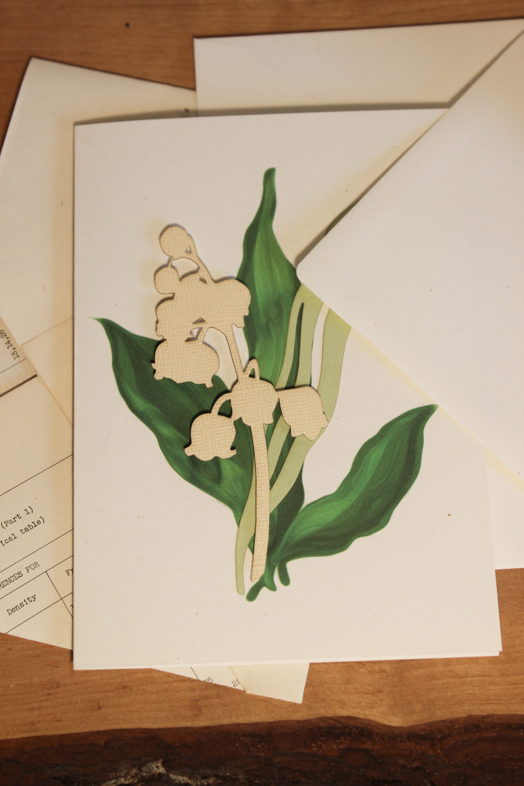 Convallaria majalis – Bild 5